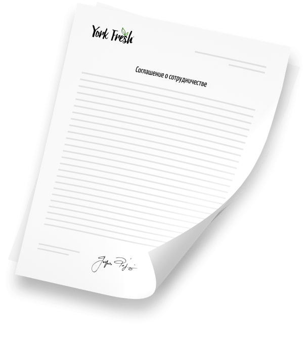 catalog